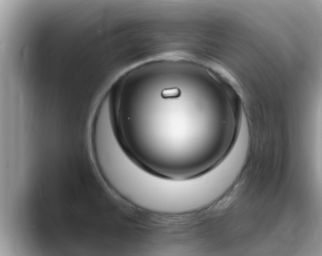 X0000089891430200707051220