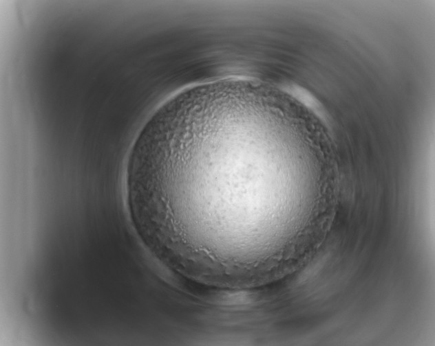X0000089891431200707051220