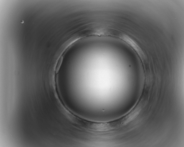 X0000089891434200707051220