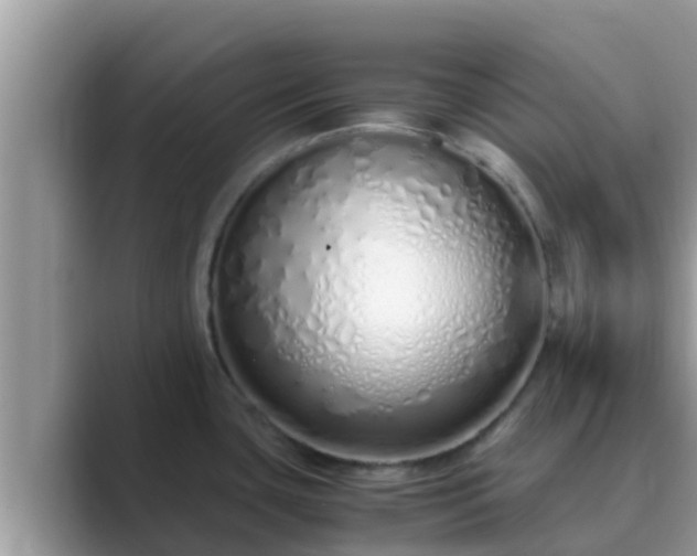 X0000089891435200707051220