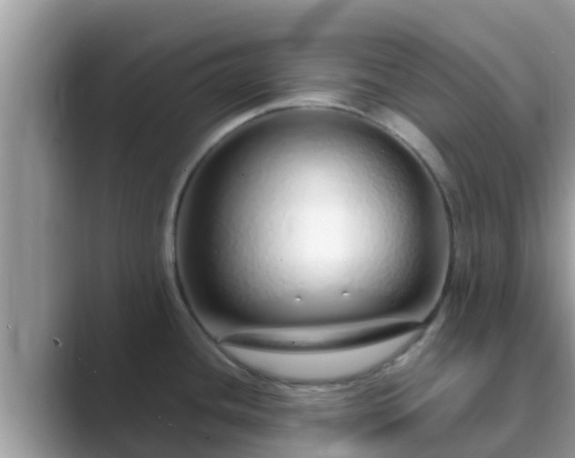 X0000089891436200707051220