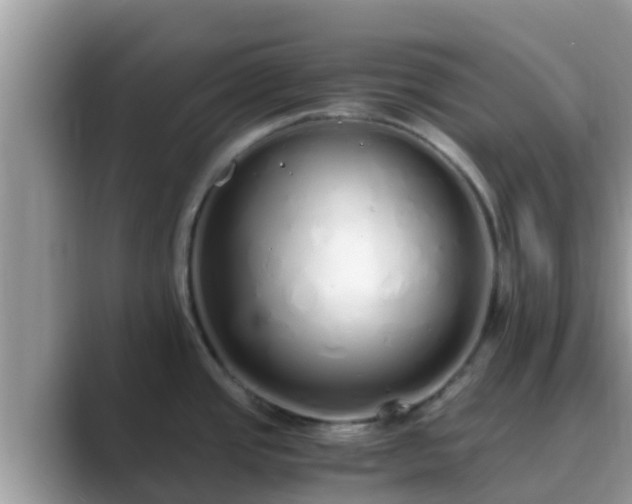 X0000089891437200707051220