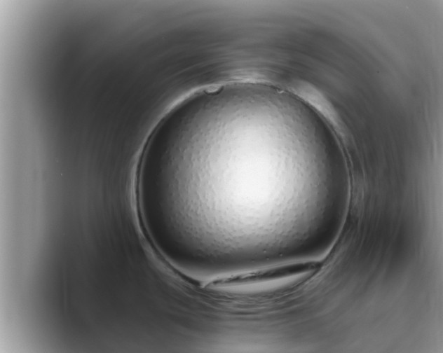 X0000089891439200707051220