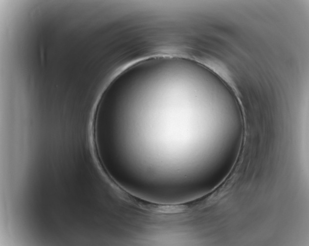 X0000089891440200707051220