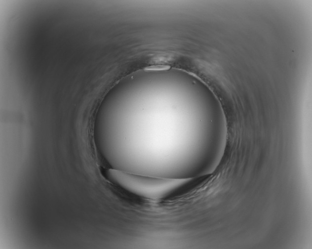 X0000089891441200707051220