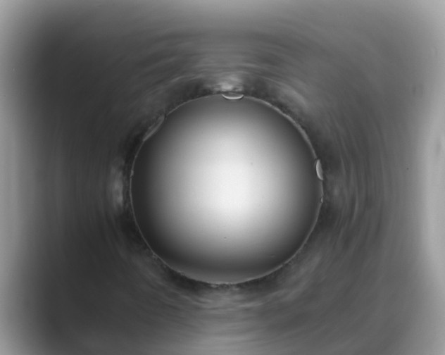 X0000089891442200707051220