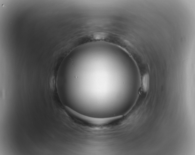 X0000089891443200707051220