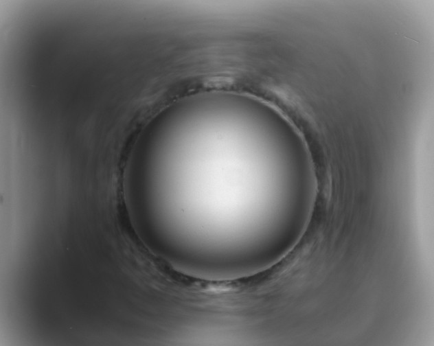 X0000089891445200707051220