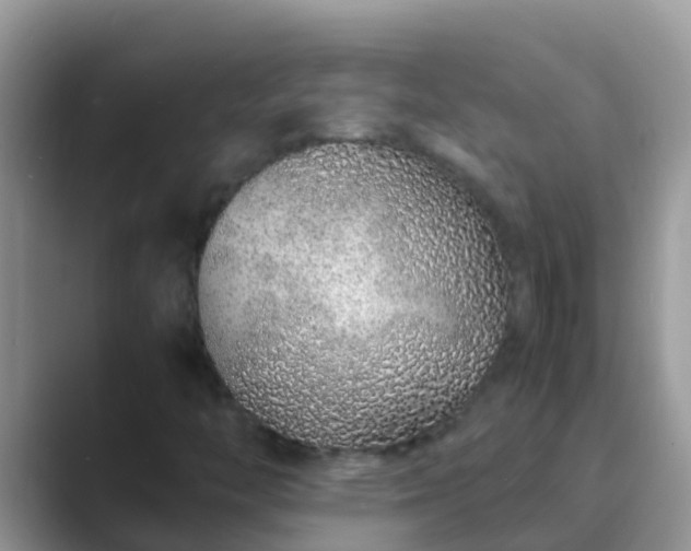 X0000089891446200707051220