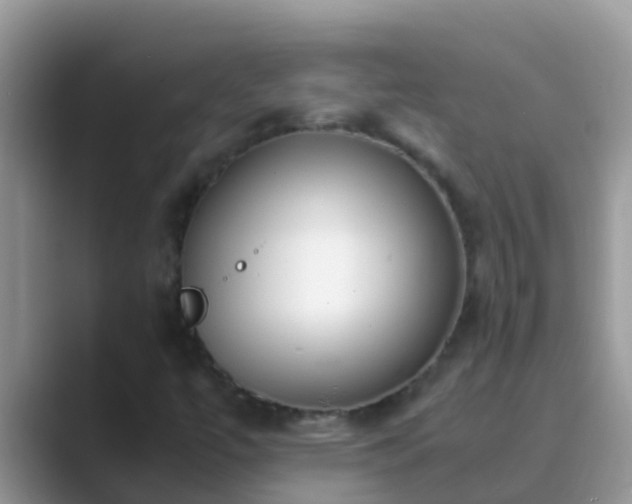 X0000089891447200707051220