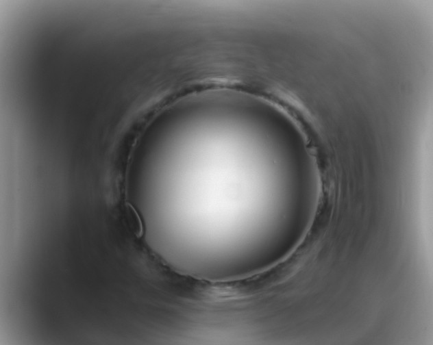 X0000089891448200707051220