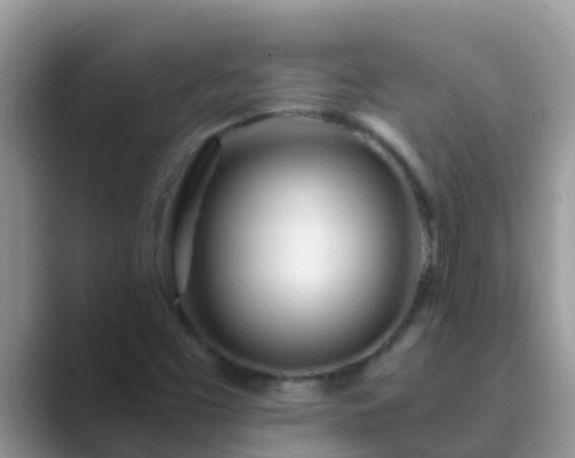 X0000089891453200707051219
