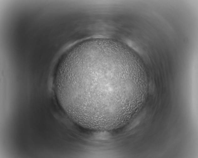 X0000089891454200707051219