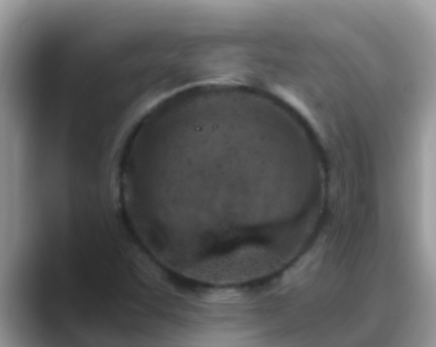 X0000089891455200707051219