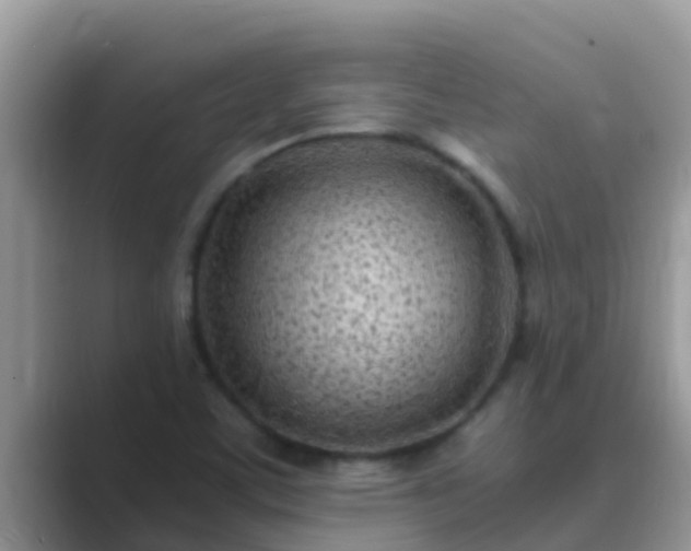 X0000089891459200707051219