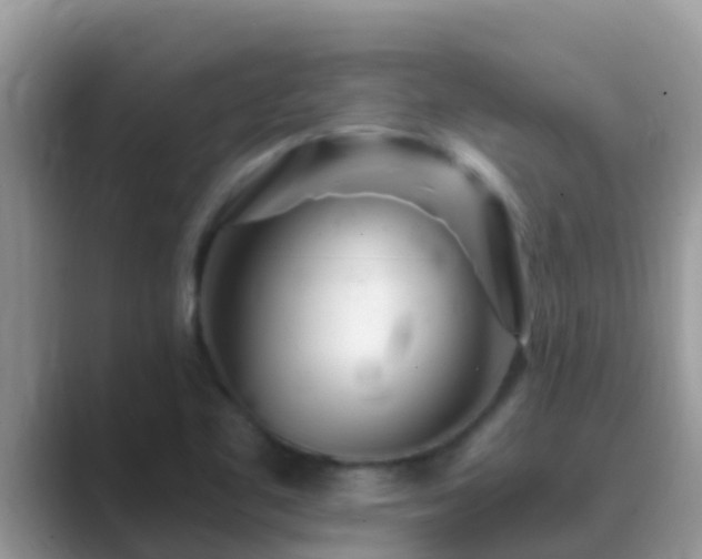X0000089891461200707051219