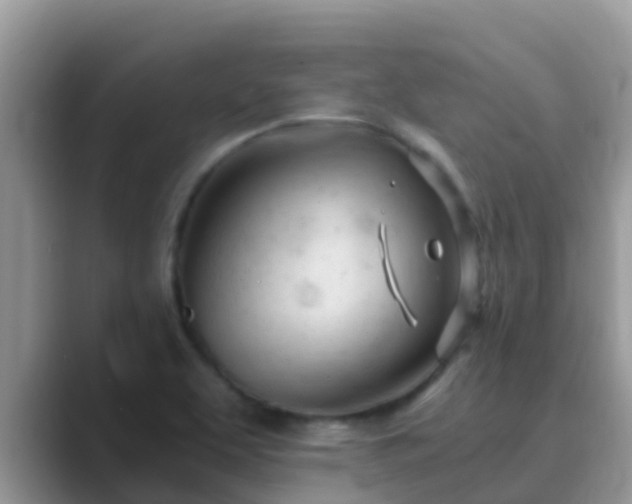 X0000089891463200707051219