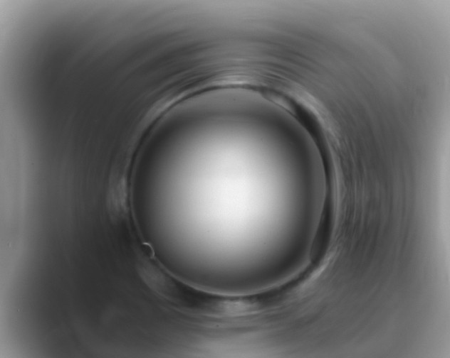 X0000089891465200707051219
