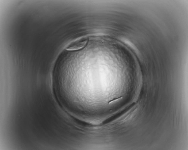X0000089891467200707051219