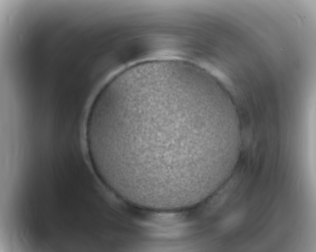 X0000089891470200707051219