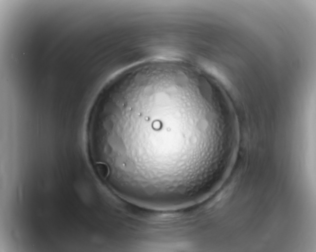 X0000089891471200707051219