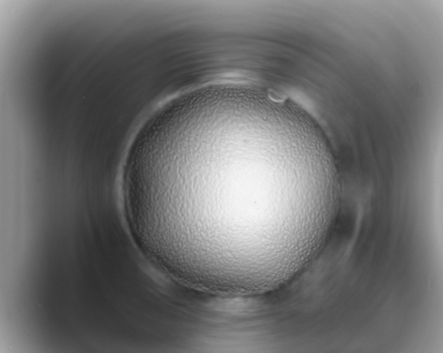 X0000089891474200707051219