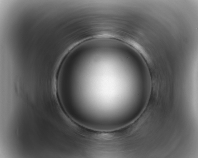 X0000089891476200707051219