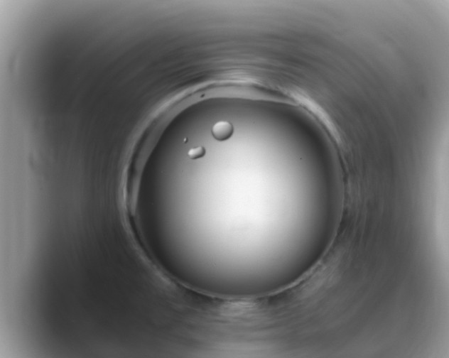 X0000089891477200707051219