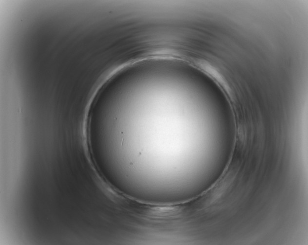 X0000089891482200707051219