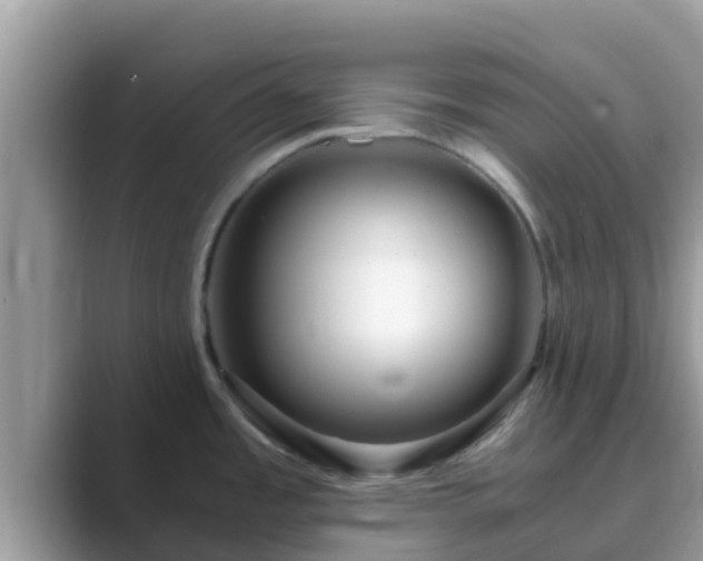 X0000089891485200707051219