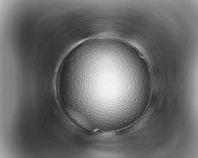 X0000089891486200707051219