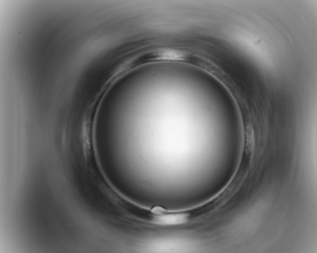 X0000089891487200707051219