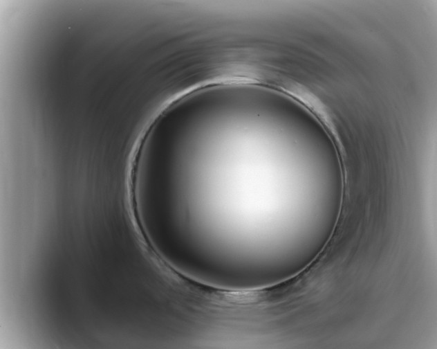 X0000089891488200707051219