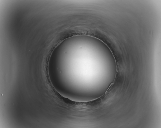 X0000089891489200707051219