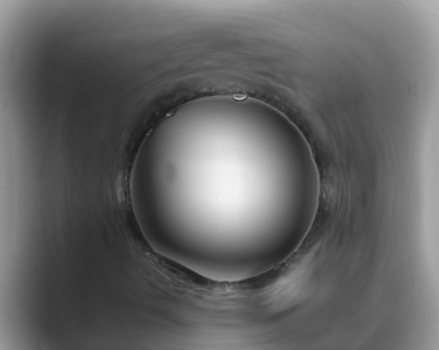X0000089891490200707051219