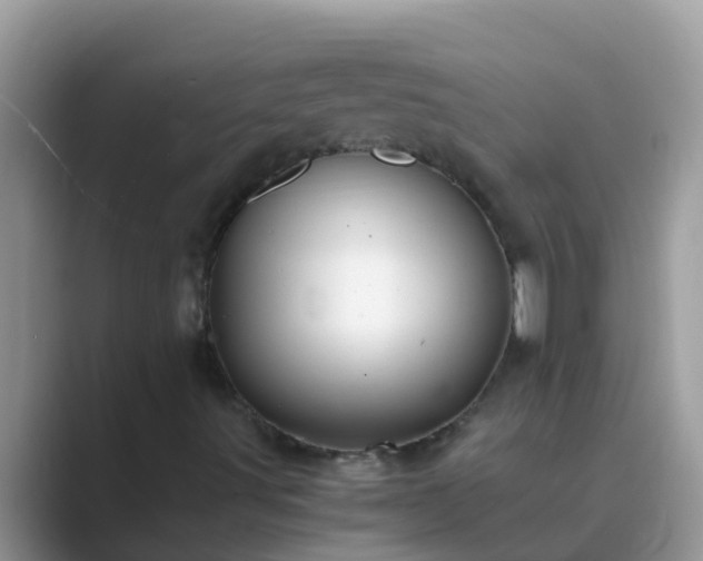 X0000089891491200707051219