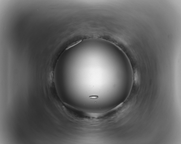 X0000089891492200707051219