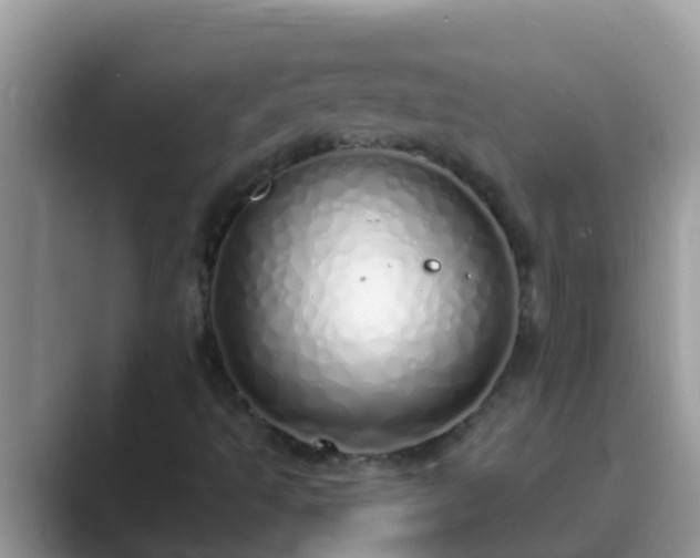 X0000089891493200707051219