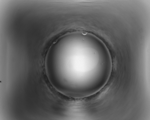X0000089891494200707051219