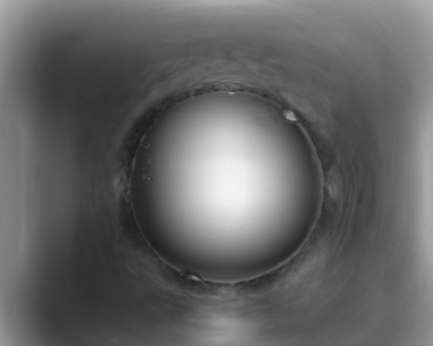 X0000089891495200707051219