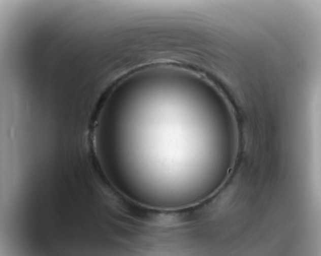 X0000089891497200707051219