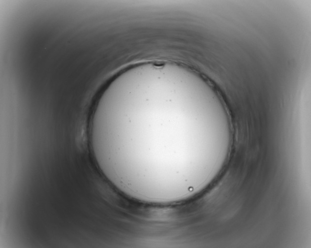 X0000089891498200707051219