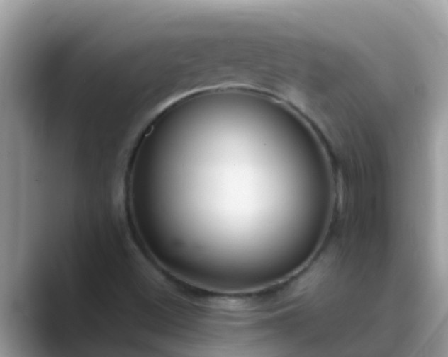 X0000089891500200707051219