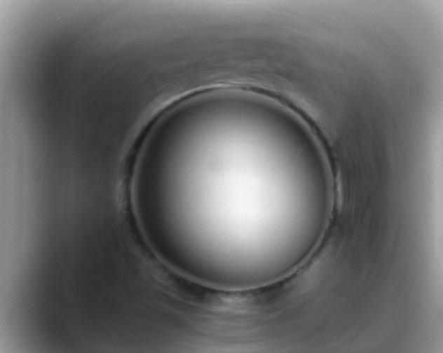 X0000089891501200707051219