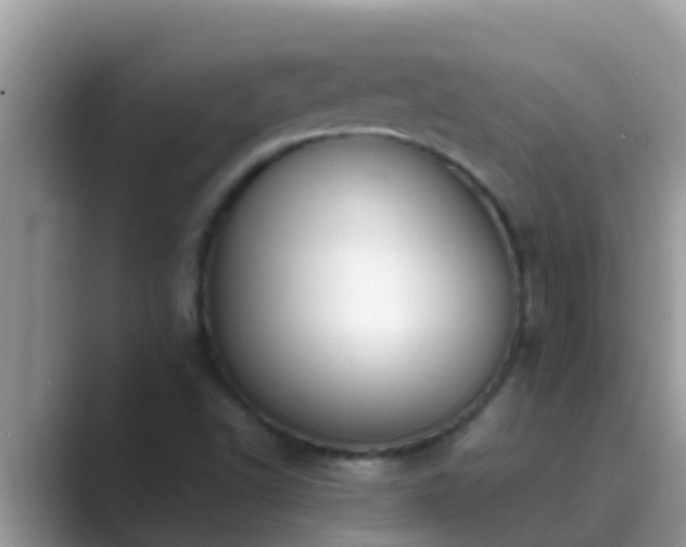 X0000089891502200707051219