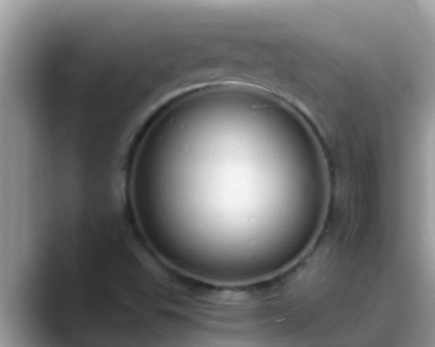 X0000089891503200707051219