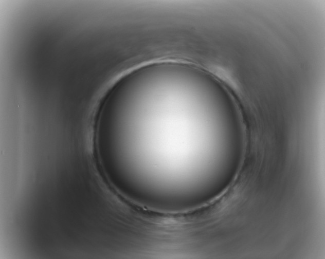 X0000089891504200707051219