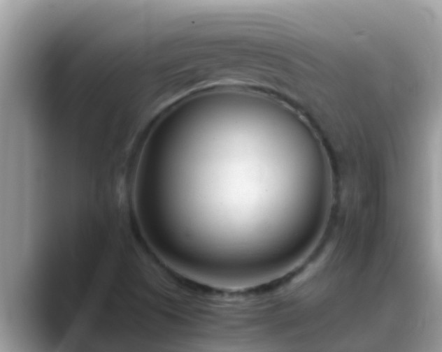 X0000089891505200707051219