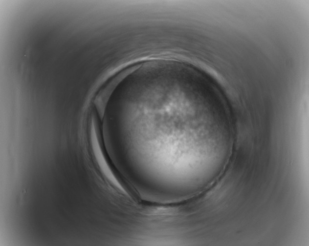 X0000089891506200707051219