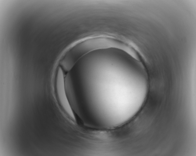 X0000089891508200707051219